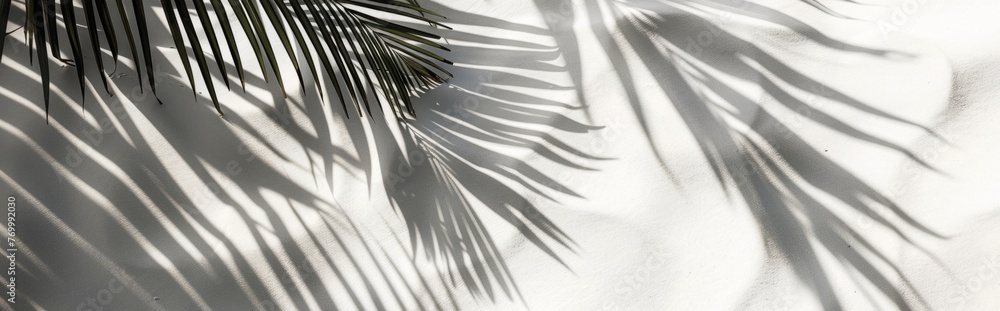 Obraz premium Beautiful abstract background concept banner summer vacation at the beach. Top view of tropical leaf shadows. The shadows of palm leaves on the white sand.