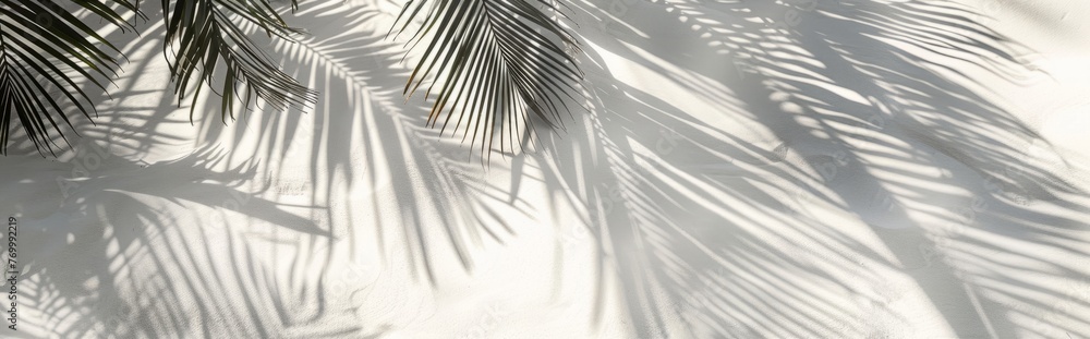 Obraz premium Beautiful abstract background concept banner summer vacation at the beach. Top view of tropical leaf shadows. The shadows of palm leaves on the white sand.