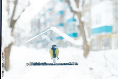 Tit flew up to the transparent feeder and eats the seeds. Wintering of birds in cold countries, In the city