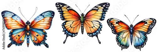 Set of butterfly collection colored. Set of beautiful butterflies watercolor isolated on white background. Orange, pink, green and blue, butterfly vector illustration	 photo