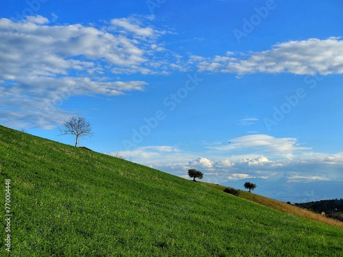 green countryside with plants and clouds