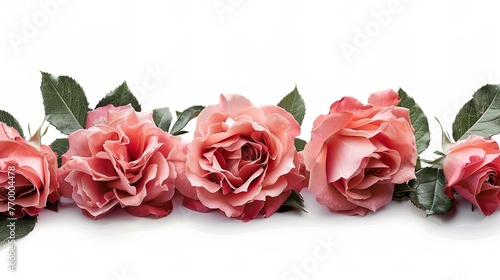 Roses isolated on the white background flower composition   Generative ai 