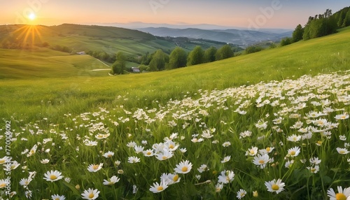 landscape with grass and flowers.