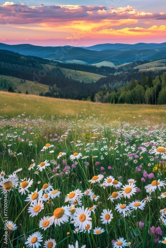 Wildflowers Field With Mountains Background