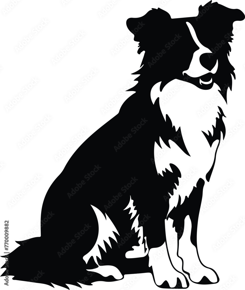 Fototapeta premium border collie silhouette