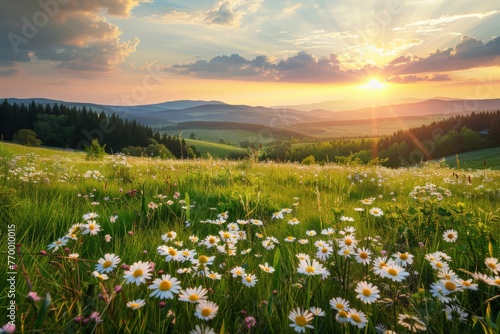 Sun Setting Over Mountains With Daisies