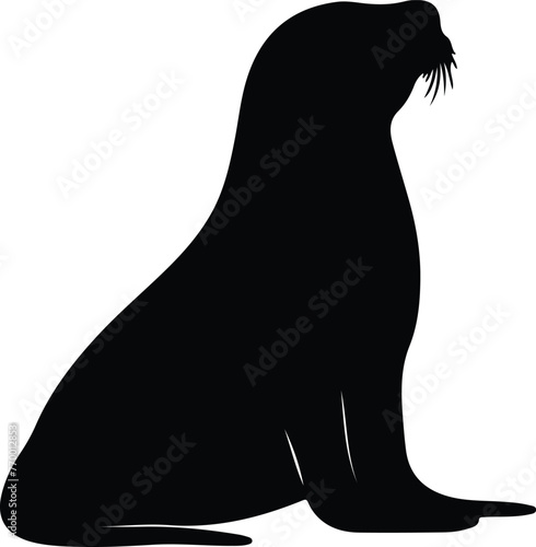 California sea lion silhouette
