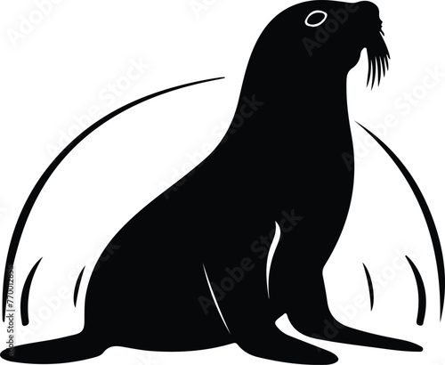 California sea lion silhouette