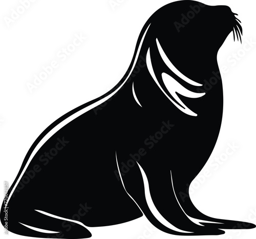 California sea lion silhouette