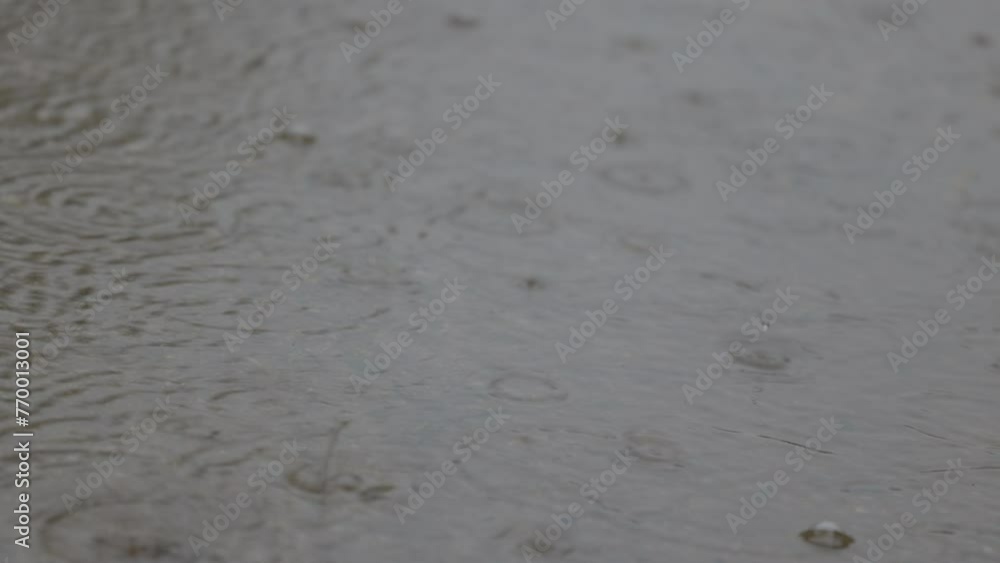 Medium locked down shot of a puddle in a rainfall with raindrops creating bubbles on its surface. Medium locked down shot of a puddle in a rainfall with raindrops creating bubbles on its surface.
