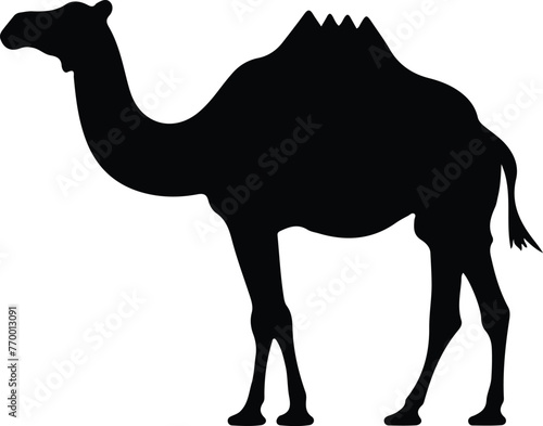camel silhouette