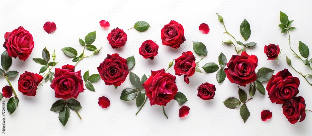 English rose composition with a festive flower arrangement against a white background. Top view, flat lay with space for text. Ideal for occasions like birthdays, Mother's Day, Valentine's Day, English rose composition with a festive flower arrangement against a white background. Top view, flat lay with space for text. Ideal for occasions like birthdays, Mother's Day, Valentine's Day,