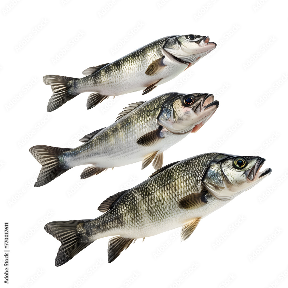 Obraz premium Three Fish Standing in Mid-Air Isolated on a Transparent Background. AI.