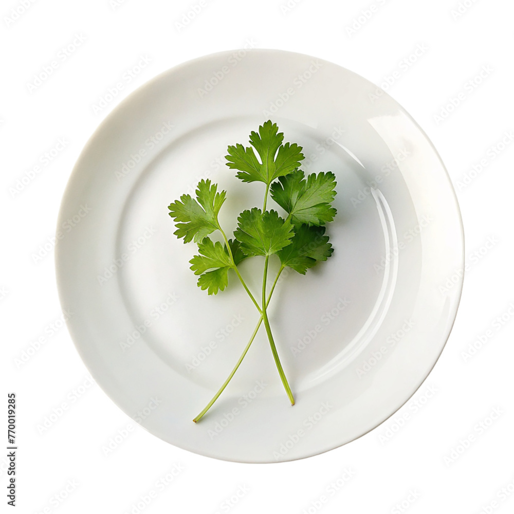 Parsley on a white plate. Isolated on a transparent background. Parsley on a white plate. Isolated on a transparent background.