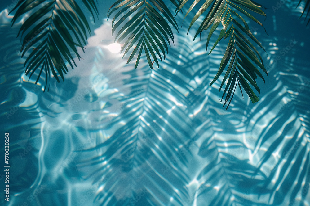 Photo of palm leaves from above, which cast a shadow on the clean and transparent sea water. Summer background Photo of palm leaves from above, which cast a shadow on the clean and transparent sea water. Summer background