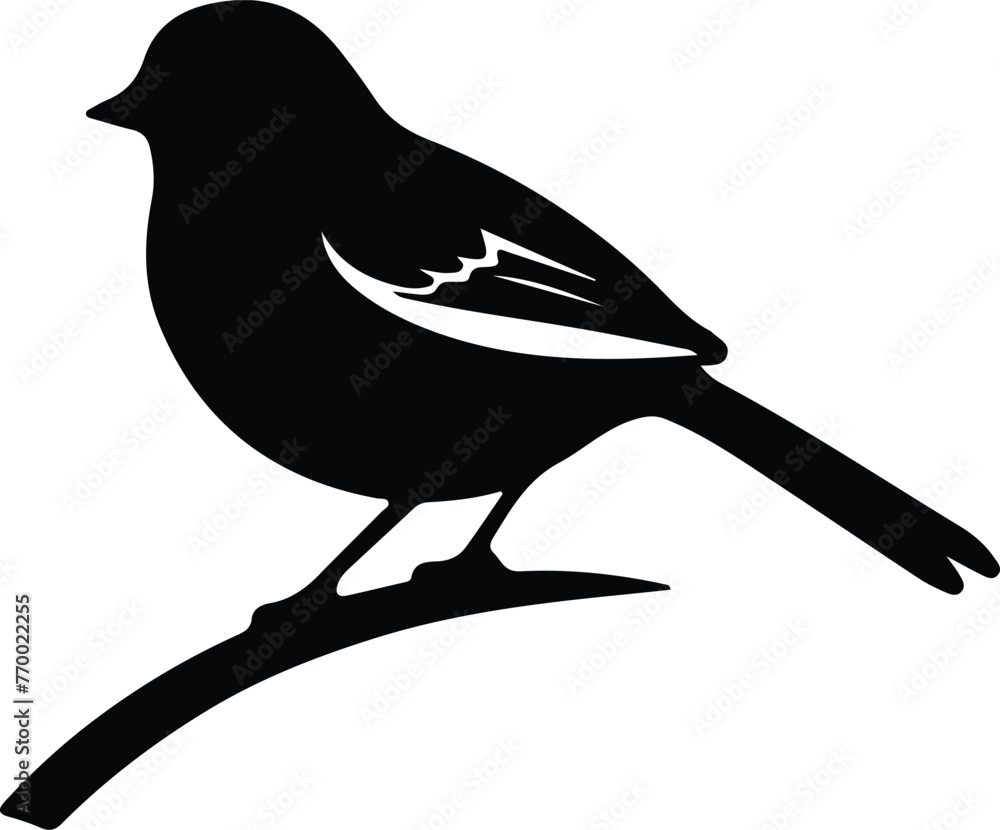 Obraz premium dark-eyed junco silhouette