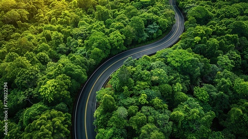 Aerial top view curve road on green forest. Scenic road through forest with traffic driving.