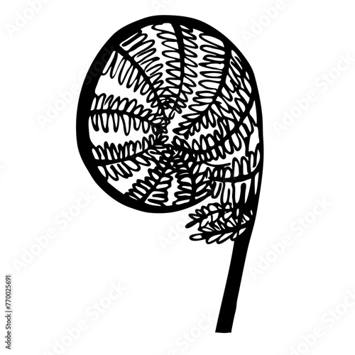 fiddlehead. Young fern pods. Vector stock illustration. Food. Plant. Escapes. Isolated on a white background.