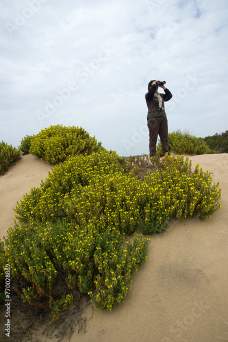 woman exploring the dunes in ingurtosu. Iglesias, Sardinia, Italy photo