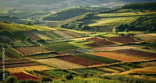 Rural hillside covered in a quilt of agricultural fields  with different crops creating patterns of color and texture.