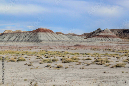 Petrified Forrest National Park