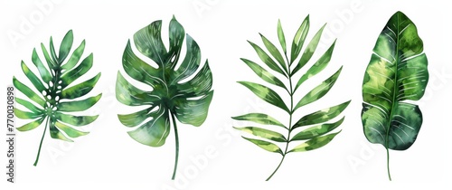 4 different tropical leaves isolated on a white background in a simple and clean watercolor style.