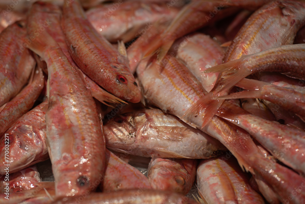 group of fresh mullets at the fishmonger