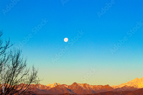 "Lunar Majesty: Explore the Mystique of the Wolf Moon with Adobe Stock"