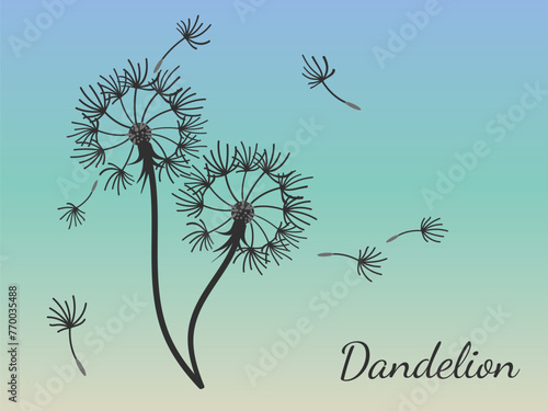 Dandelion_background8-01.eps