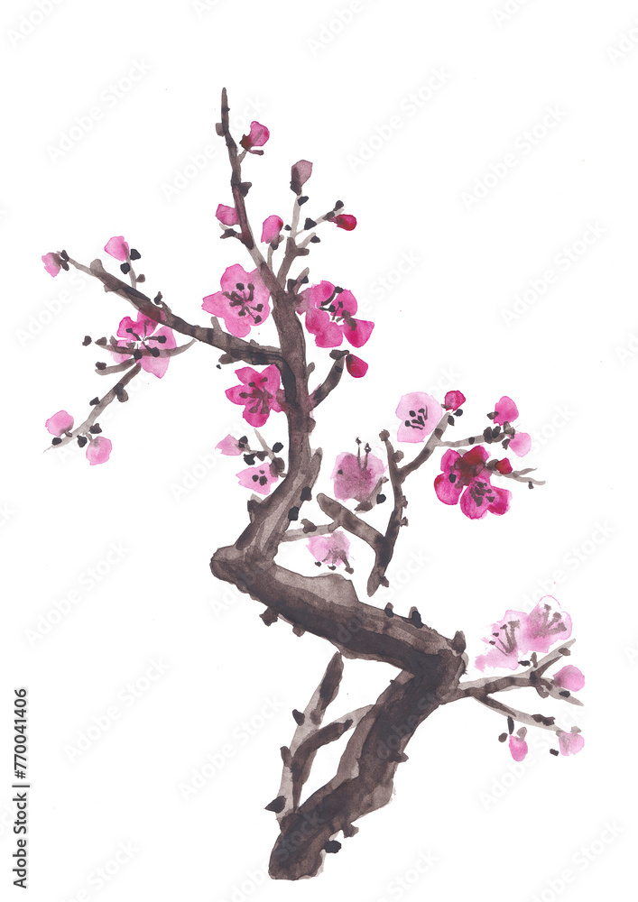 Watercolor Sakura Blossom - Japanese Cherry Tree. Artistic Branch Plum Blossom. Watercolor Sakura Blossom - Japanese Cherry Tree. Artistic Branch Plum Blossom.