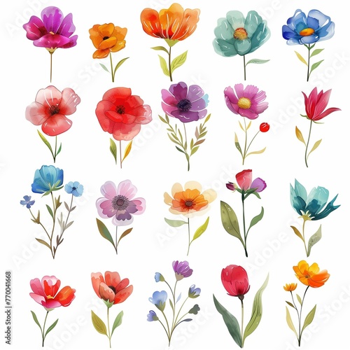 Colorful Watercolor Flower Collection for Spring Seasonal Designs