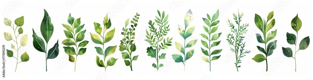 Set of watercolor green leaves and plants in various shapes are arranged, isolated on a white background. Different types of foliage, small leafy branches, nature-themed designs or eco-friendly.