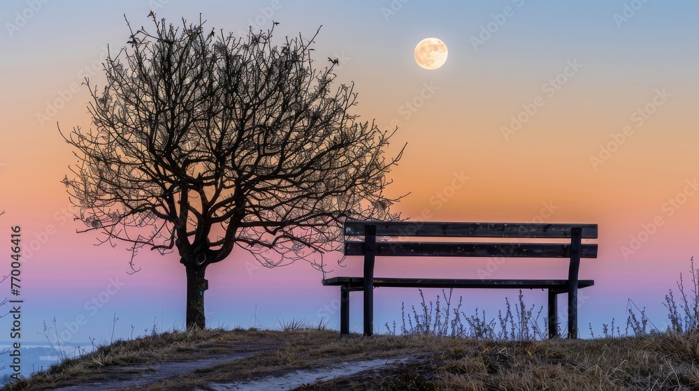 Fototapeta premium A bench under a full moon, next to a tree and a path leading up to it