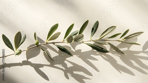 Olive Branch With Green Leaves on White Surface. Generative AI