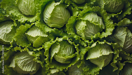  lettuce Pattern Background.