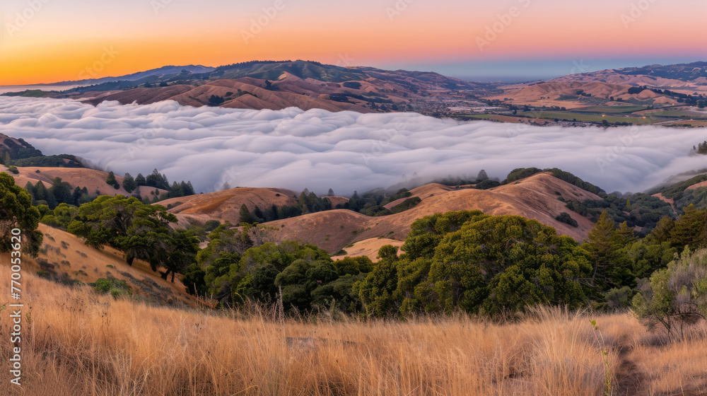  A stunning image captures the grandeur of a mountain range, framed by low-lying clouds in the foreground and lush trees