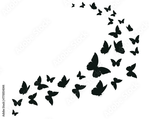 black butterfy hand drawn flock  butterflies