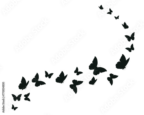 flock of black butterflies flies. Butterfly set.monarch tawny spring butterfly photo