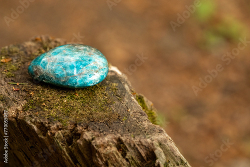 Apatite gemstone on mossy tree stump