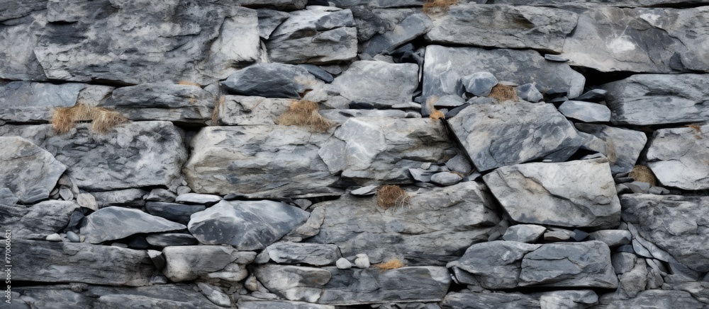 A closeup of a bedrock stone wall with a grey formation of rocks creating an outcrop in the landscape. The art of nature displayed through the wood and rock structure