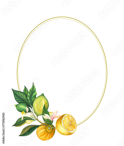 Watercolour frame with blooming lemon branch with leaves, flowers, green and yellow lemons and lime. Hand painted yellow fruits and flower isolated on white background. Fresh citrus illustration for