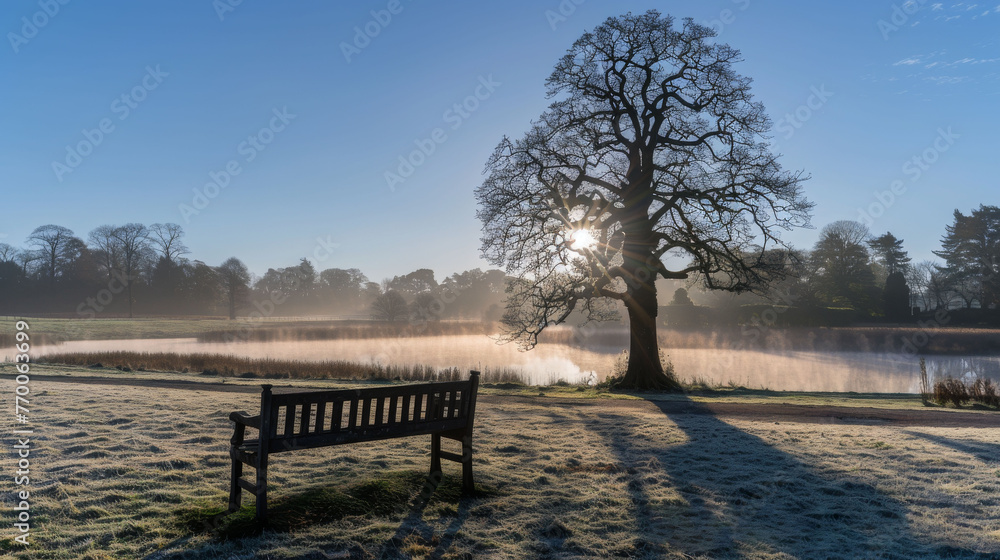  A tree stands next to a bench, which rests in a field bathed in sunlight that reflects off the water behind it