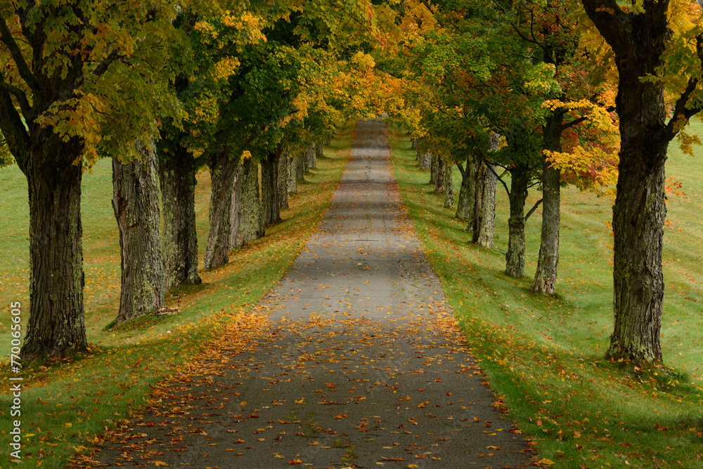 Fall Road