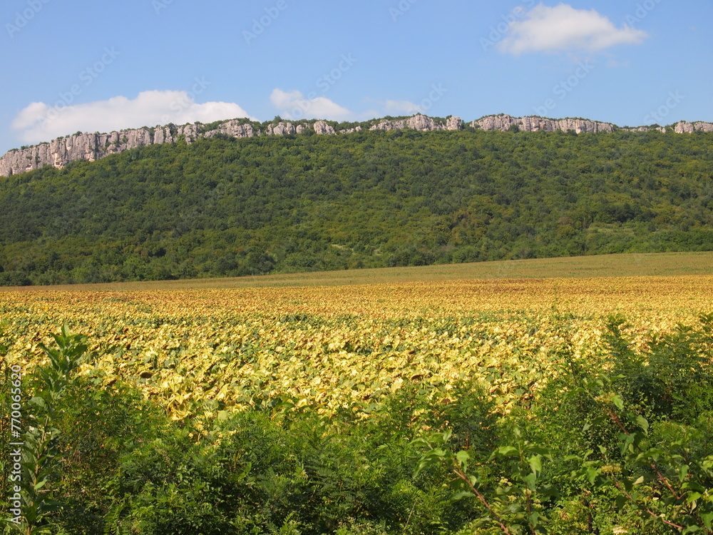 Landscape in Bulgaria