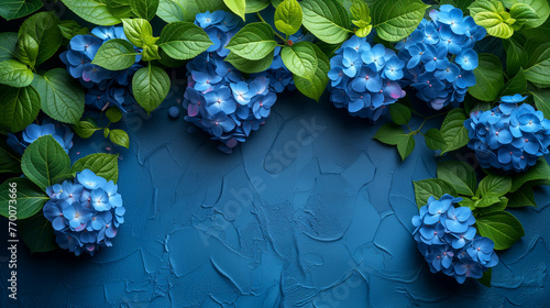 Blue hydrangea flowers on blue background. Flat lay, top view. © Виктория Дутко