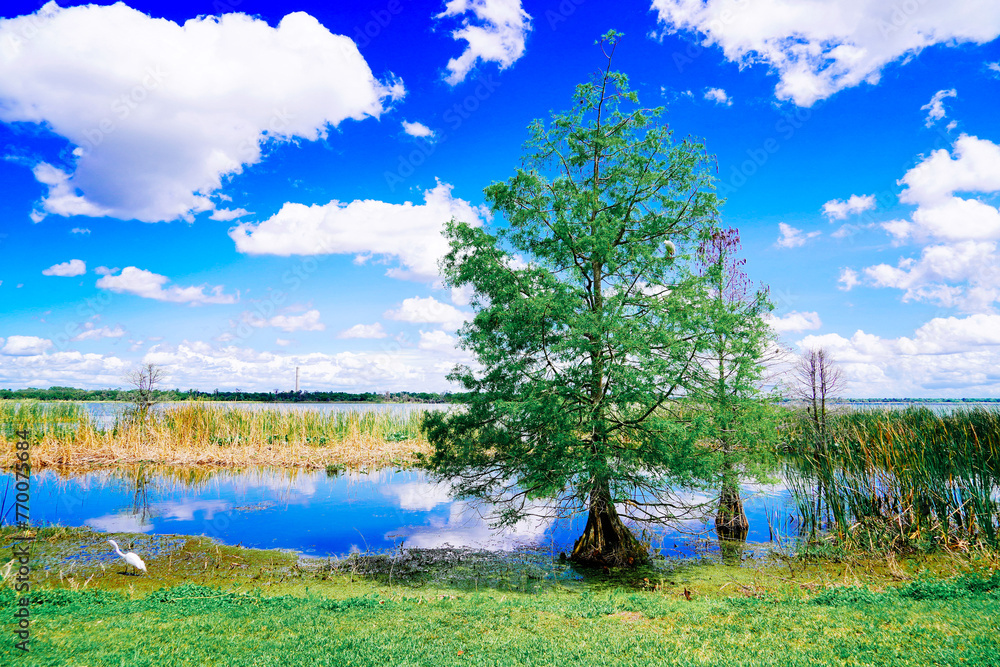 Φωτογραφία The landscape of Lake parker in Lakeland, Florida, USA