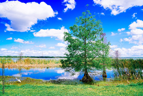 Fotografie The landscape of Lake parker in Lakeland, Florida, USA