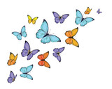 colorful butterflies hand drawn