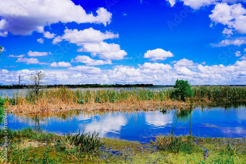 The landscape of Lake parker in Lakeland, Florida, USA 