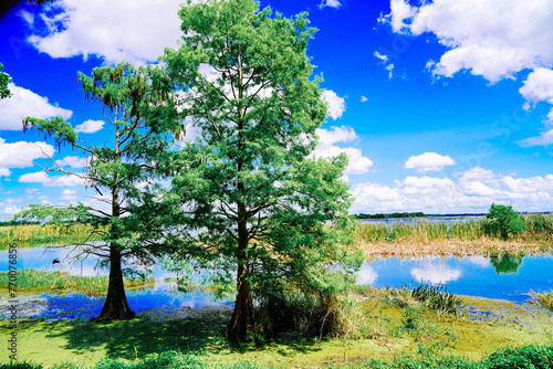 The landscape of Lake parker in Lakeland, Florida, USA	
